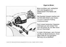 Fehlerlesen-Vögel-im-Winter-Lesetext-1.pdf